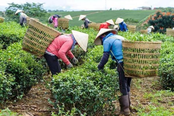 春天做的农事都有什么？