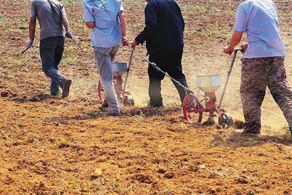 春天做的农事都有什么？