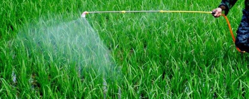 	草甘膦与草铵膦区别？(完全版)