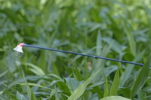 	草甘膦与草铵膦区别？(完全版)