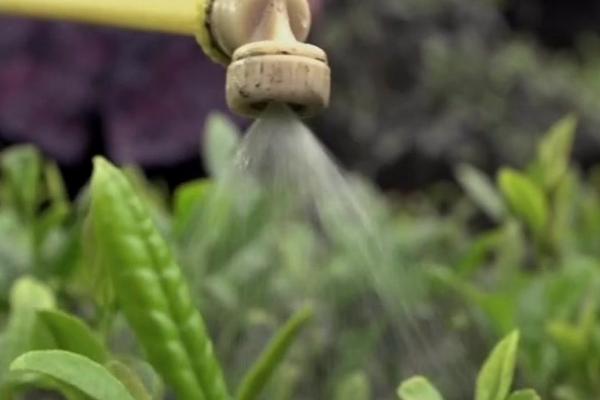 	草甘膦与草铵膦区别？(完全版)