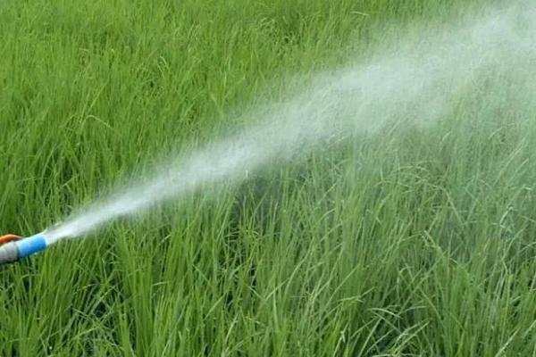 	草甘膦与草铵膦区别？(完全版)