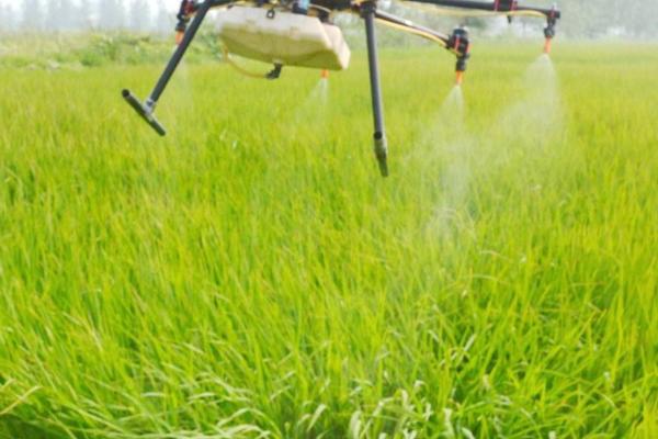 	草甘膦与草铵膦区别？(完全版)