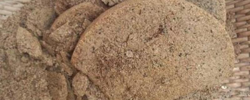 菜籽饼不发酵拌土直接做基肥 可以直接撒在沟里吗？