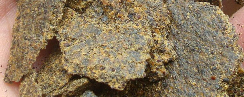 菜籽饼简单发酵多久？