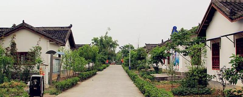 如何发展壮大乡村产业 拓宽农民增收渠道?职业农民培育的对象包括哪几类