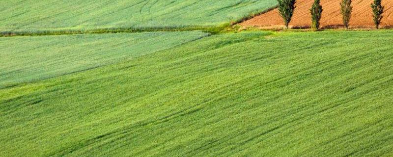 什么地不属于基本农田 基本农田可以养殖吗？