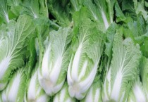 白菜地除草剂用什么样的除草剂（什么阶段除草效果好）