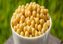 大豆出油率的计算公式 大豆出油率的计算公式