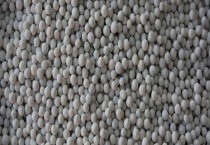 铜钱草冬天怎么养