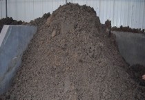 菊花的种类有哪些? 菊花的种类有哪些?