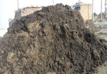 有机肥怎么发酵才不