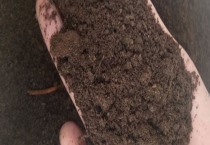 棚菜管理有四要