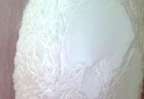 樱桃的繁殖技术