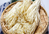 秋季辣椒的温度管理