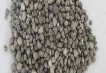 袋鼠花的栽培技术