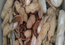 百合花花语是什么（百合花代表什么）