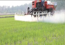 黄秋葵什么时候播种（黄秋葵种植时间）