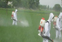 抽烟对室内养植的文竹有危害吗(文竹可以防辐射吗) 抽烟对室内养植的文竹有危害吗(文竹可以防辐射吗)