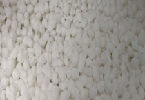 黄瓜插接育苗技术