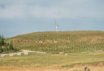 如何识别农作物种子假劣（识别农作物种子假劣方法）