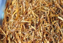 木耳菜的种植方法