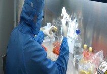 大棚韭菜的栽培技术