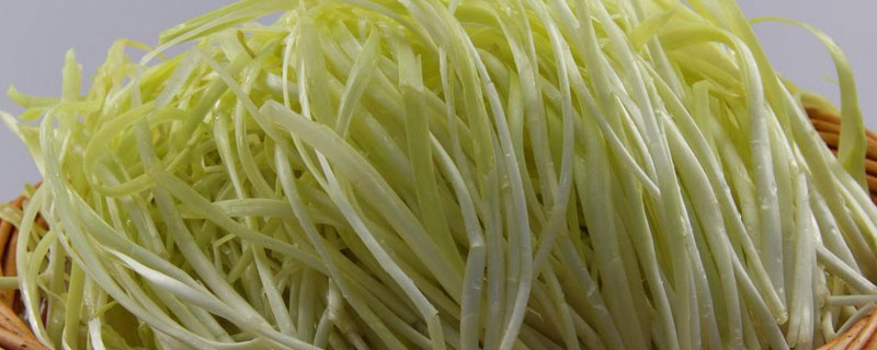 韭黄需要切根部吗？