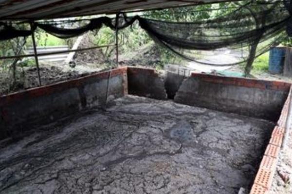 农村小型养猪场污水处理方法 500头猪场粪便处理多久？