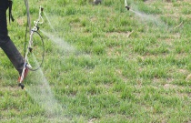 春耕化肥怎么选购（春耕化肥选购方法）