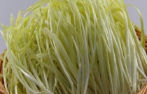 万寿菊与孔雀草区别 万寿菊与孔雀草区别