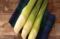 茭白有种子吗？