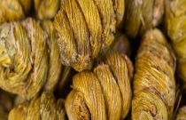 科学管理手段有效预防茄子出现萎蔫病