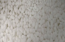 早春空心菜怎么施肥生长快