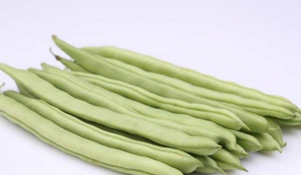 芸豆角功效与作用及禁忌 芸豆角营养价值