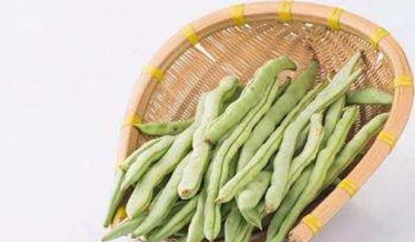 芸豆角功效与作用及禁忌 芸豆角营养价值