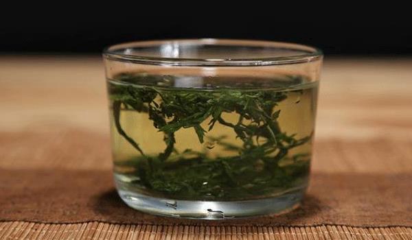 艾草茶的功效与作用及禁忌 艾叶茶怎么做？