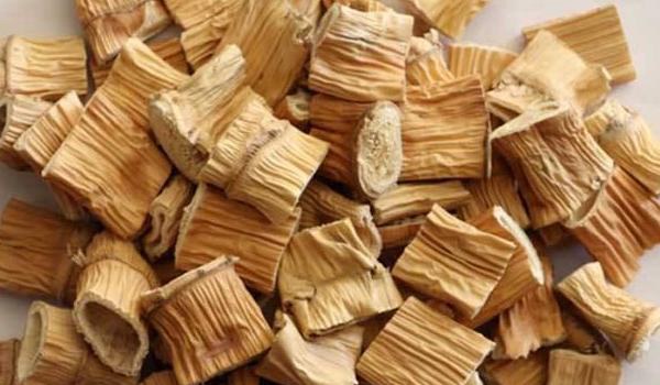 芦苇根的功效与作用及禁忌 芦苇根药用价值