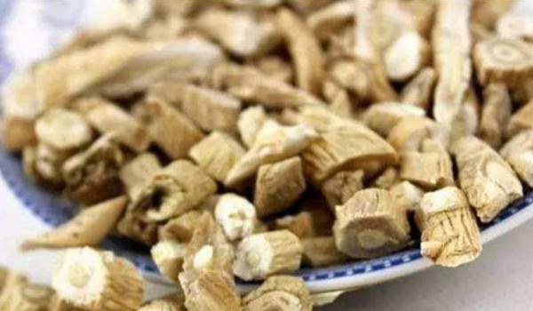 芦苇根的功效与作用及禁忌 芦苇根药用价值