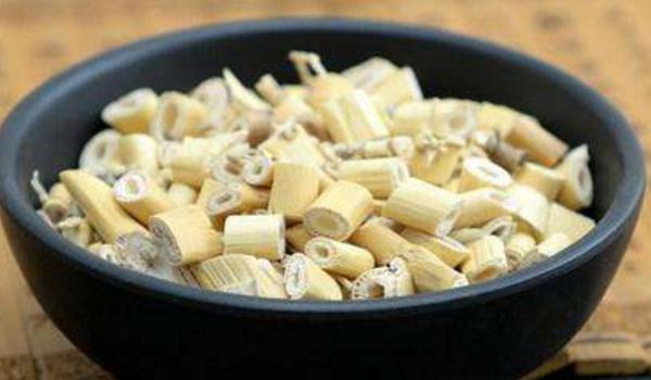 芦苇根的功效与作用及禁忌 芦苇根药用价值