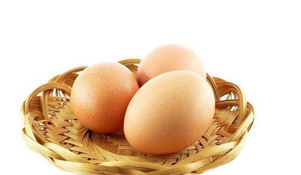 菠萝树的图片大全