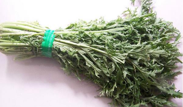 雪菜怎么种植能高产