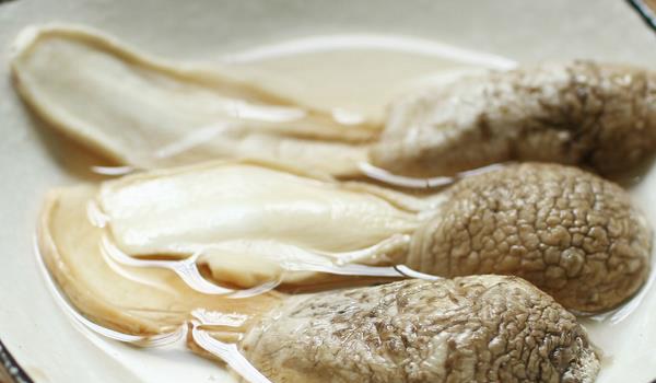 鸡腿菇图片大全 鸡腿菇是什么?