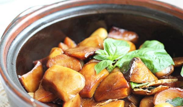 鸡腿菇图片大全 鸡腿菇是什么?