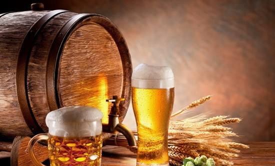 种植啤酒大麦的技术