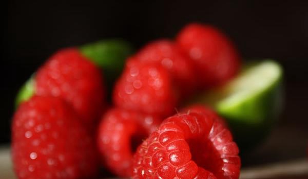 覆盘子图片大全 覆盘子属于水果吗？