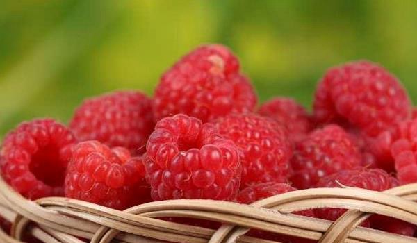 覆盘子图片大全 覆盘子属于水果吗？