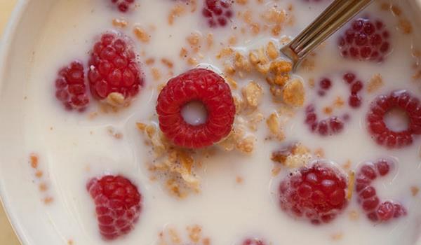 覆盘子图片大全 覆盘子属于水果吗？