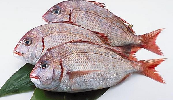 绝味卤毛豆的做法大全