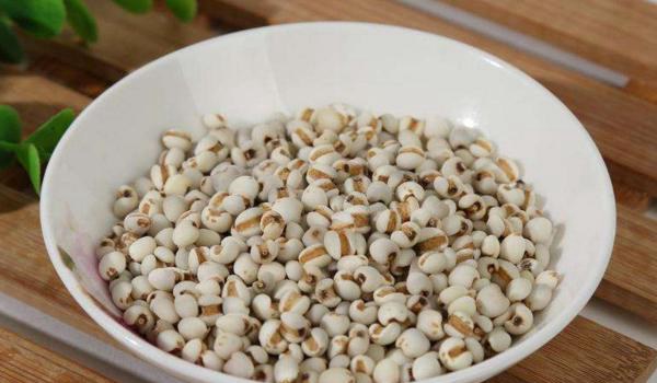 薏米的功效与作用及禁忌 薏米的营养价值